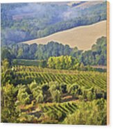 Hills Of Tuscany Wood Print