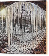 Hinding From Winter Wood Print