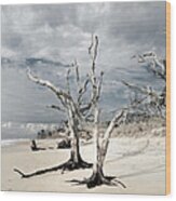 Hobcaw Boneyard Beach 2 Wood Print