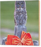 Holiday Owl Wood Print