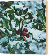 Holly And New Snow Wood Print