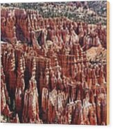 Hoodoos Of Bryce Canyon Wood Print