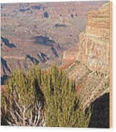Hopi Point Grand Canyon National Park Wood Print