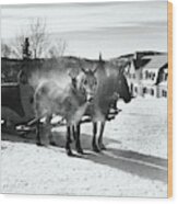 Horse-drawn Sleigh Wood Print