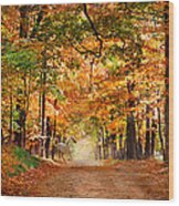 Horse Running Across Road In Fall Colors Wood Print