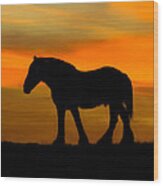 Horse Sunset Wood Print