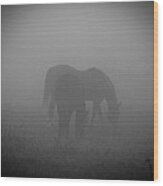 Horses In The Mist. Wood Print