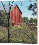 Horses On Michigan Farm Wood Print