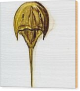 Horseshoe Crab 1 Wood Print