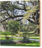 Houmas House Plantation In Louisiana Wood Print