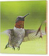 Hummer Wood Print