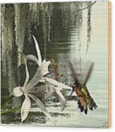 Hummingbird And Swamp Lily Wood Print