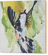 Da164 Hummingbird Brazil By Daniel Adams Wood Print