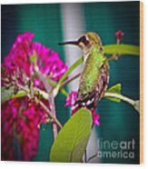 Hummingbird Garden Wood Print