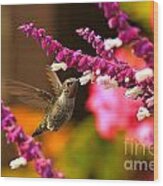 Hummingbird Landscape Wood Print