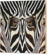 Primal Zebra Wood Print