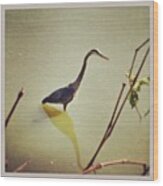 I Believe This Is A Blue Heron.  Of Wood Print