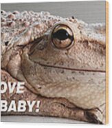 Frog Declaration Of Love Wood Print