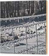Ice Fence Wood Print
