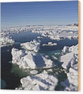 Ice Floe Field Spitsbergen Norway Wood Print