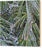 Ice On Pine Needles Wood Print