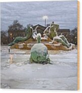 Ice On The Fountain Wood Print