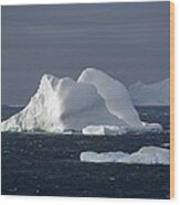 Icebergs In Open Ocean Antarctica Wood Print