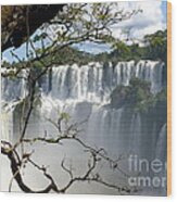 Iguazu Falls Ii Wood Print