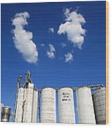 Illinois Grain Silos Wood Print