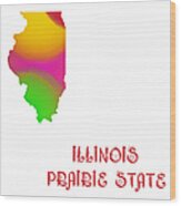 Illinois State Map Collection 2 Wood Print