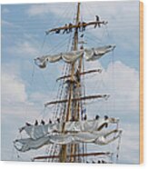 In The Eagle's Rigging Opsail 2012 Wood Print