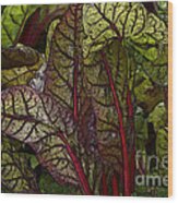 In The Garden - Red Chard Jungle Wood Print