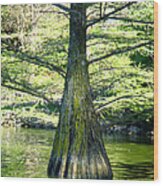 In The Lake Wood Print