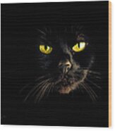 In The Shadows One Black Cat Wood Print
