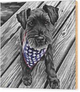 Watercolor Schnauzer Black Dog Wood Print