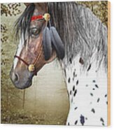 The Indian Pony Wood Print