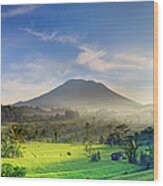 Indonesia, Bali, Rice Fields And Agung Wood Print