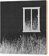 Infrared Barn Wood Print