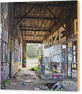 Inside The Old Train Roundhouse At Bayshore Near San Francisco And The Cow Palace Iii Wood Print