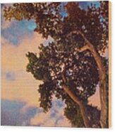 Inspired By Maxfield Parrish Wood Print