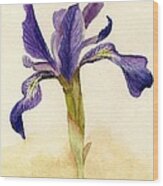 Iris Wood Print