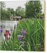 Iris Flowers Near A Bridge Wood Print