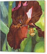 Watercolor Of A Tall Iris In Burgundy Red Wood Print