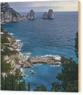 Isle Of Capri Wood Print
