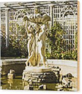 Italian Water Garden Parkwood Wood Print