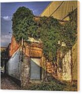 Ivy Covered Building Wood Print