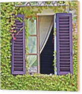 Ivy Covered Window Of Tuscany Wood Print