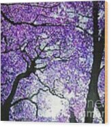 Jacarandas By The River Wood Print