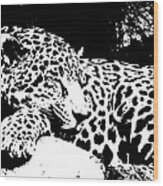 Jaguar In Reverse Wood Print