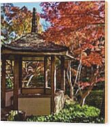 Japanese Gazebo Wood Print